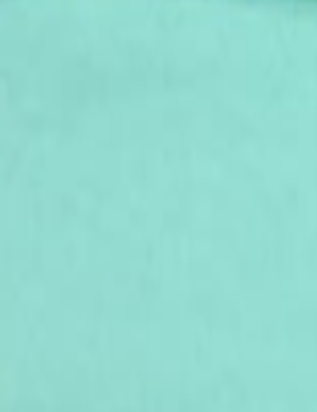 Кашкорсе 2х нитка цв.Ментол