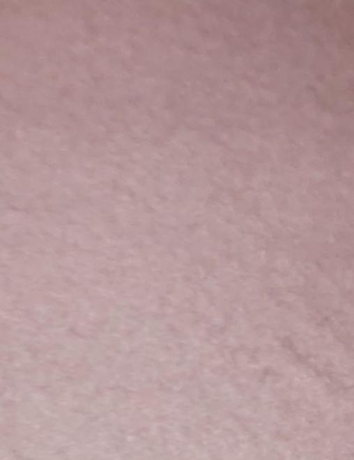 Футер 3-х нитка с начесом цв.Пудра