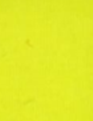 Кашкорсе 2х нитка цв.Салатовый неон