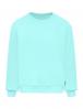 Свитшот детский  ПОВСЕДНЕВНЫЙ цв.Бирюза